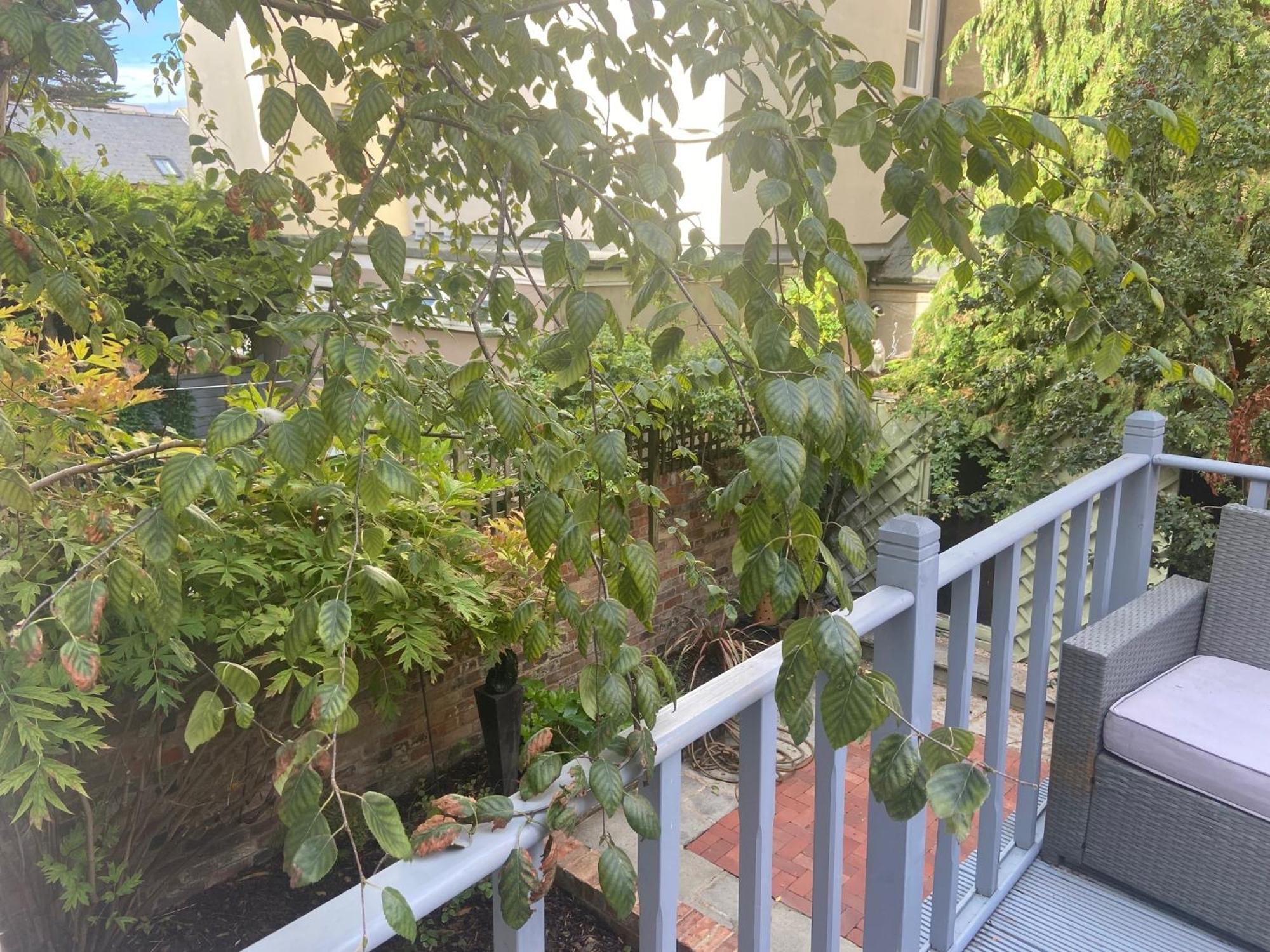 Town Centre Garden Retreat Apartment เชลเทนแฮม ภายนอก รูปภาพ